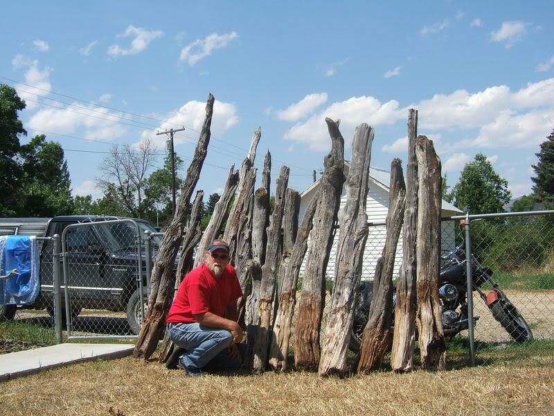 Juniper Fence Posts The Hunting Lodge